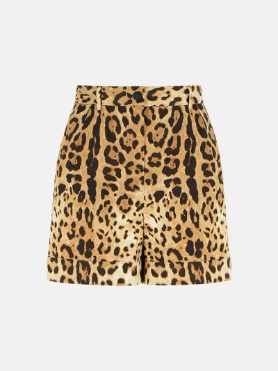 Dolce & Gabbana 'leo' Brown Cotton Shorts In Animal Print