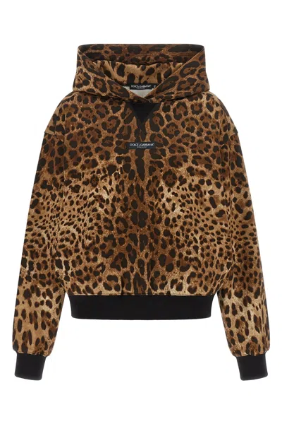 Dolce & Gabbana 'leo' Hoodie In Brown