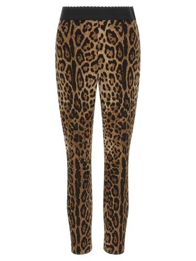 Dolce & Gabbana Leo Leggings In Tan