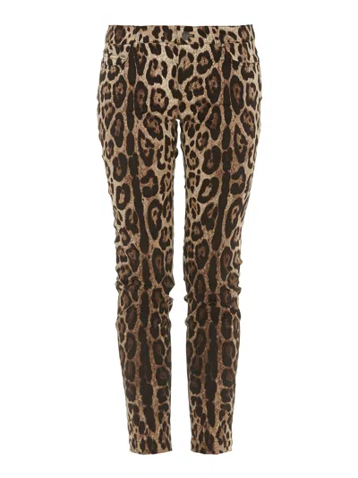 Dolce & Gabbana Leo Print Cotton Trousers In Animal Print