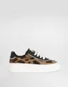 Dolce & Gabbana Leopard-print Logo Sneakers In Animal Print