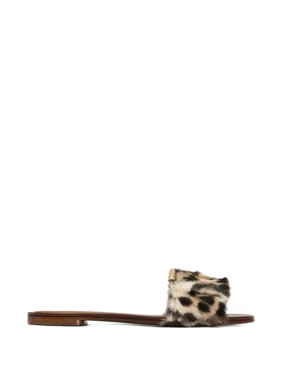 Dolce & Gabbana Leo-print Kid Leather Flat Slippers In Multi