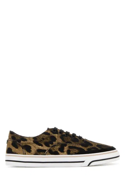 Dolce & Gabbana Leonew Sneaker In Multi