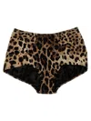 Dolce & Gabbana High-waisted Animal Print Briefs In Multicolor