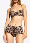 Dolce & Gabbana Leopard Print Balconette Bikini Top In Beige