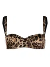 Dolce & Gabbana Leopard-print Balconette Bra In Neutrals