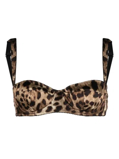 Dolce & Gabbana Leopard-print Balconette Bra In Neutrals