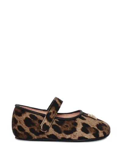 Dolce & Gabbana Kids' Leopard-print Ballerinas In Brown