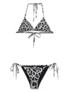 Dolce & Gabbana Leopard-print Bikini