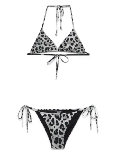 Dolce & Gabbana Leopard-print Bikini In Gray