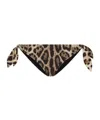 Dolce & Gabbana Leopard-print Bikini Bottom In Black