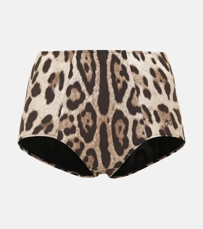 DOLCE & GABBANA LEOPARD-PRINT BIKINI BOTTOMS,P00353767