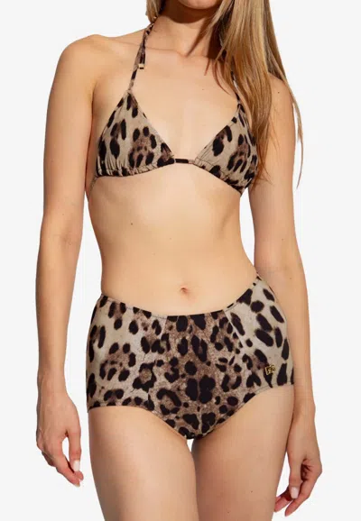 Dolce & Gabbana Leopard Print Bikini Briefs In Animal Print