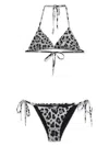 Dolce & Gabbana Leopard-print Bikini In Grey
