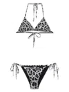 Dolce & Gabbana Leopard-print Bikini In Grey
