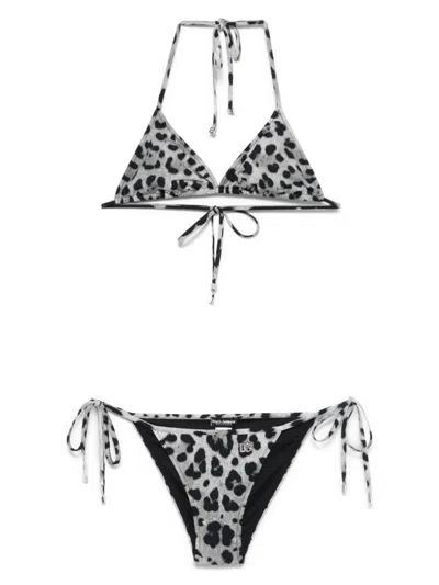 Dolce & Gabbana Leopard-print Bikini In Black