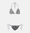 Dolce & Gabbana Leopard-print Bikini In Multicoloured