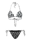 Dolce & Gabbana Leopard-print Bikini In Brown