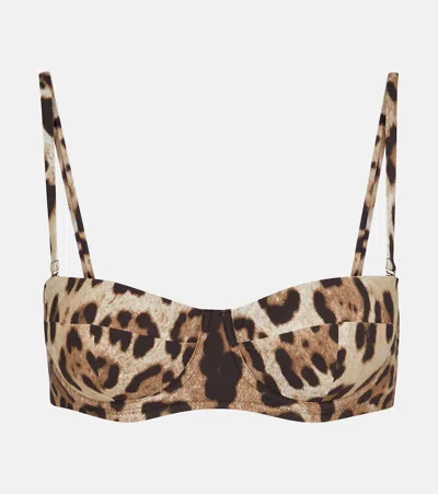 Dolce & Gabbana Leopard-print Bikini Top In Beige