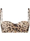 Dolce & Gabbana Leopard Print Balconette Bikini Top In Brown
