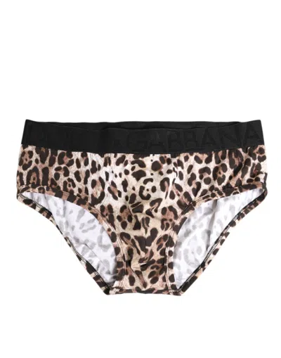 Dolce & Gabbana Leopard Print Black Waistband Cotton Underwear In Brown