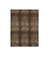 Dolce & Gabbana Leopard Print Blanket In Multicolor