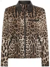 Dolce & Gabbana Leopard Print Jacket With Black Leather Collar In Brown