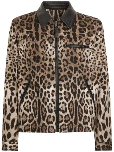 Dolce & Gabbana Leopard-print Bomber Jacket In Brown