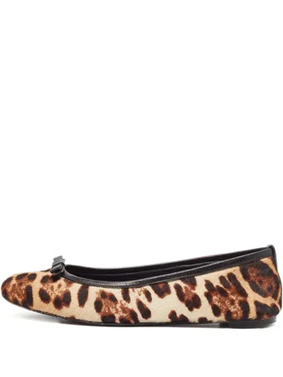 Pre-owned Dolce & Gabbana Leopard-print Bow-detail Ballet Flats