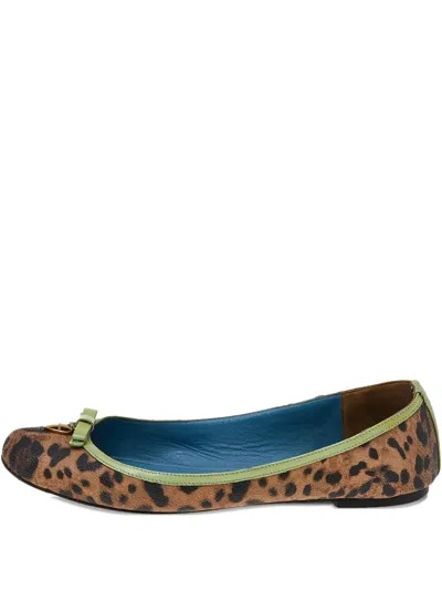 Pre-owned Dolce & Gabbana Leopard-print Bow Flats