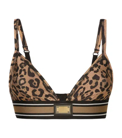 Dolce & Gabbana Leopard-print Cropped Tank Top In Brown