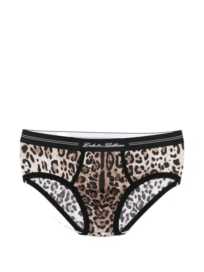 Dolce & Gabbana Leopard-print Briefs In Brown