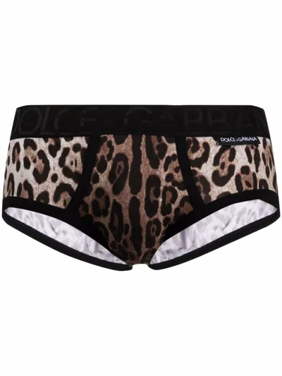 Dolce & Gabbana Leopard Print Briefs  In Multi
