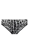 Dolce & Gabbana Leopard-print Briefs In Grey