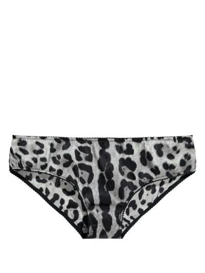 Dolce & Gabbana Leopard-print Briefs In Grey
