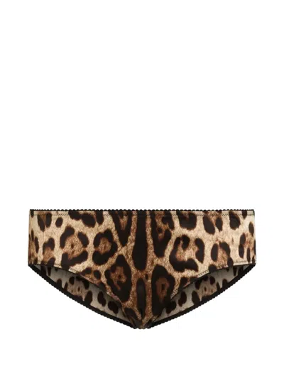 Dolce & Gabbana Leopard-print Briefs In Brown