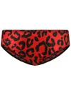 Dolce & Gabbana Leopard-print Briefs In Red