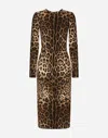 Dolce & Gabbana Viscose Dress With Animalier Print In Animal Print