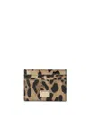 Dolce & Gabbana Kartenetui Mit Leoparden-print In Animal Print