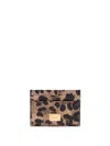 Dolce & Gabbana Leopard Print Card Holder In Brown