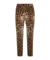 Dolce & Gabbana Leopard Print Casual Pants In Leo Macchia Marrone