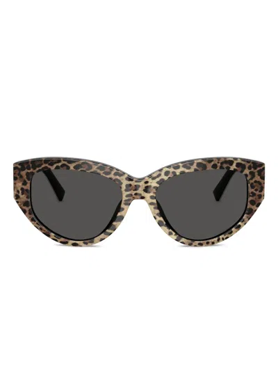 Dolce & Gabbana Sonnenbrille Mit Leoparden-print In Brown
