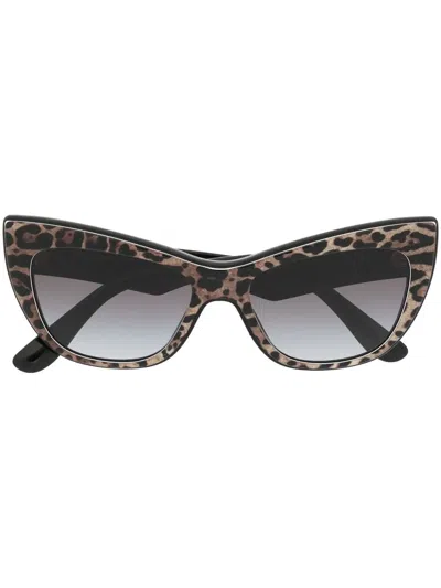 Dolce & Gabbana Leopard-print Cat-eye Sunglasses In Brown
