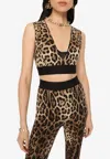 Dolce & Gabbana Leopard-print Charmeuse Cropped Top In Brown