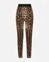 Dolce & Gabbana Animalier Velour Leggings In Animal Print