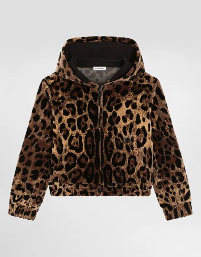 Dolce & Gabbana Leopard-print Chenille Jacquard Hooded Sweatshirt In Brown