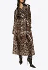 Dolce & Gabbana Leopard Print Coated Trench Coat In Brown
