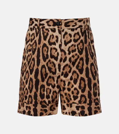 Dolce & Gabbana Leopard-print Cotton Bermuda Shorts In Brown