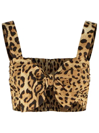 Dolce & Gabbana Leopard-print Cotton Bustier In Brown