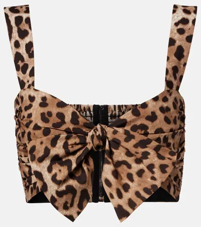 Dolce & Gabbana Leopard-print Cotton Crop Top In Brown